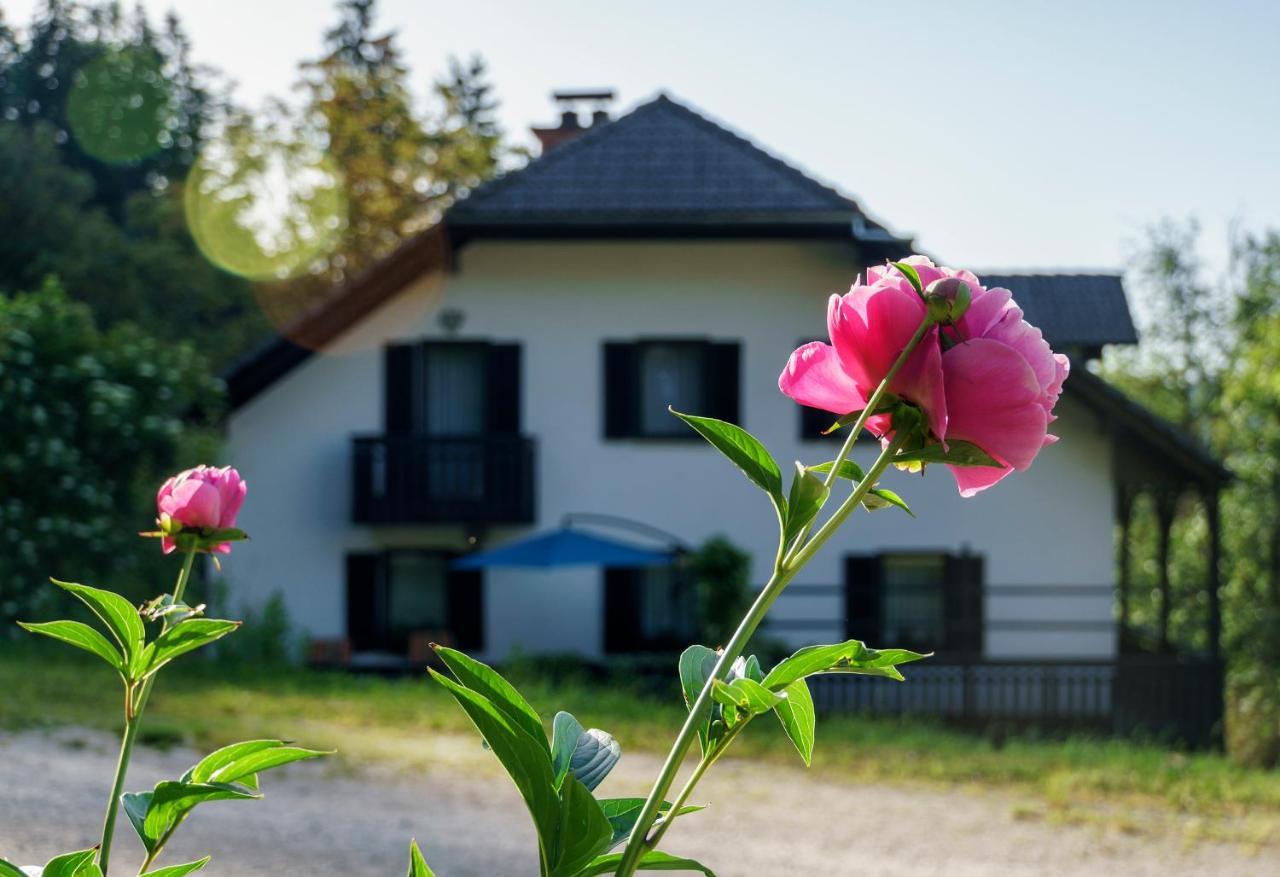 Apartments Zakrasnik Skofja Loka Exterior photo